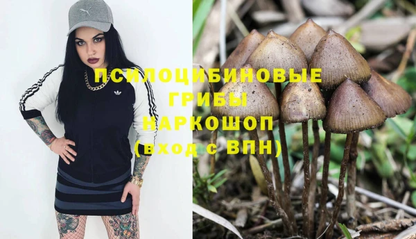 гашик Зеленодольск