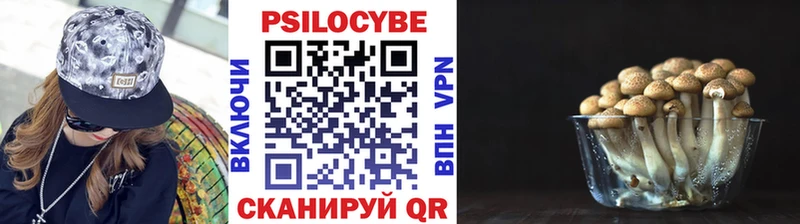 Псилоцибиновые грибы мицелий  Зуевка 